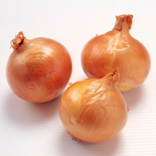 Šviežias ekologiškas 20 kg pakavimo geltonasis svogūnas