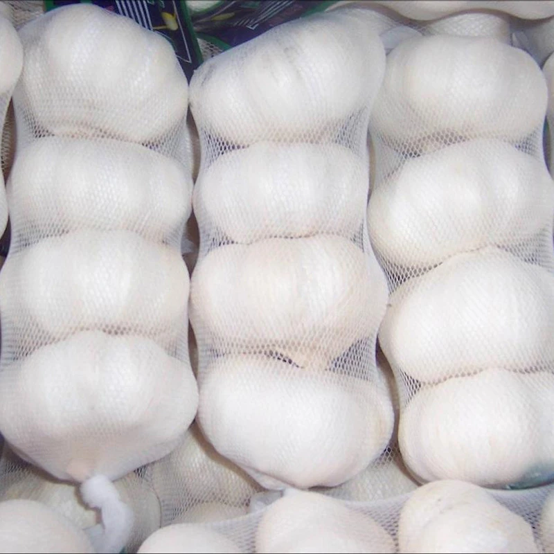 Fresh Pure White Garlic Small Package Fresh Pure White Garlic Small Package
