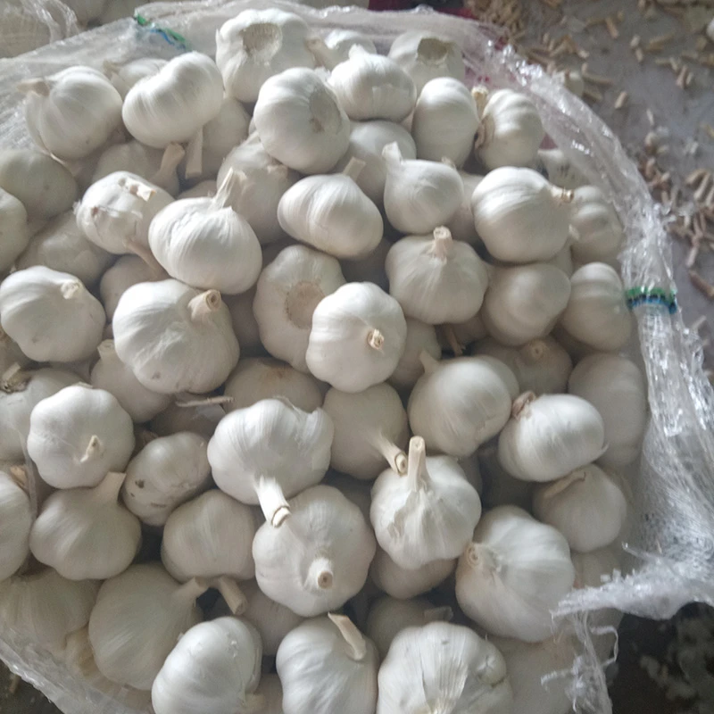 Premium Loose Pack Garlic Premium Loose Pack Garlic